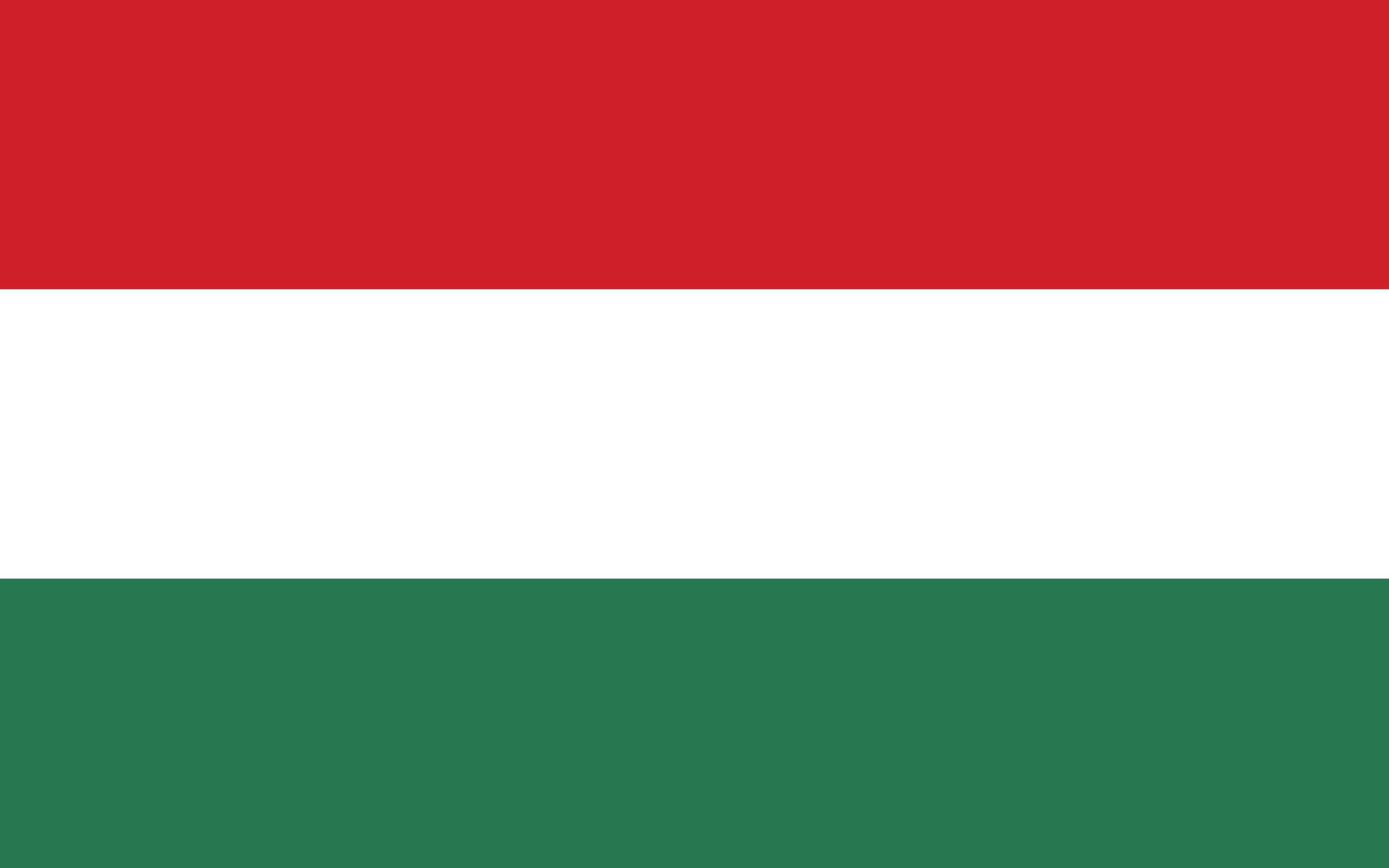 Flag,,Hungarian,,Background,,Illustration,,High,Resolution,,Vector,,Color,,Standard